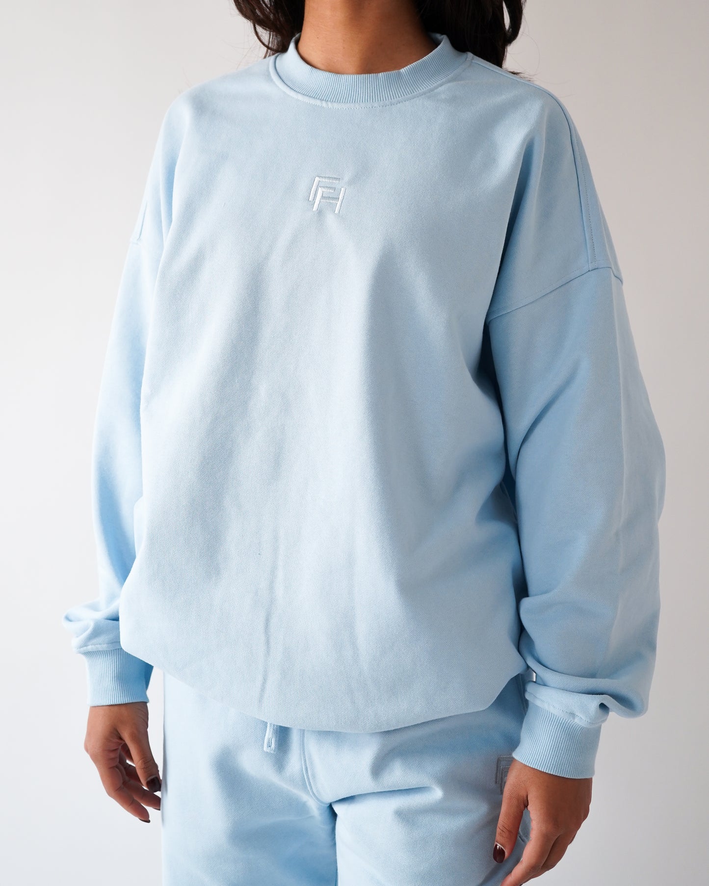 Do Not Disturb Crewneck - Sky